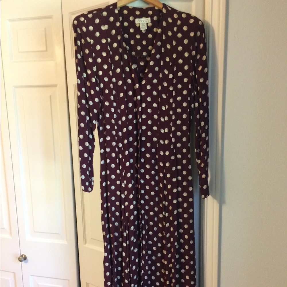Vintage Express Dress